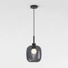 Pendant in Matt Black with Curve Glass 220 Shade in Dark Smoke