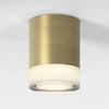 Ottawa IP65 Surface Mounted Downlight in Matt Brushed Brass