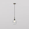 Pendant in Bronze with Curve Glass 220 Shade in Clear Glass