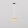 Pendant in Bronze with Tapered 320 Pendant Shade in Putty