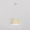 Pendant in Matt White with Tapered Round 400 Pleated Shade in Putty