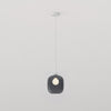 Pendant in Matt White with Curve Glass 220 Shade in Dark Smoke