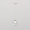 Pendant in Matt White with Curve Glass 220 Shade in Clear Glass