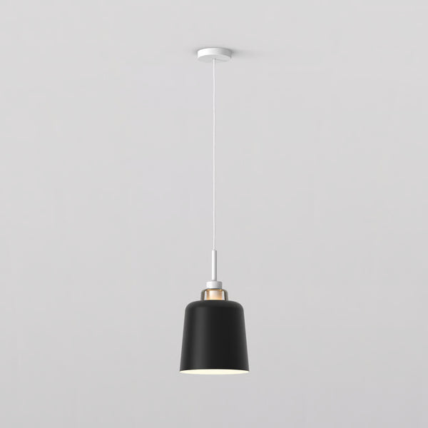 Pendant In Matt White with Camden 220 Shade in Matt Black with Brass Detail