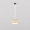 Pendant in Matt Black with Tapered 320 Pendant Shade in Putty