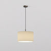 Pendant in Bronze with Drum 420 Shade in Putty