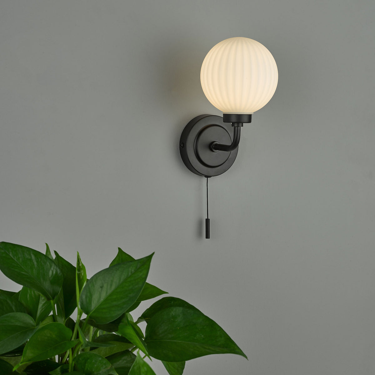 Black wall sconce with a ribbed, spherical white glass shade and a pull chain switch, next to a green plant.