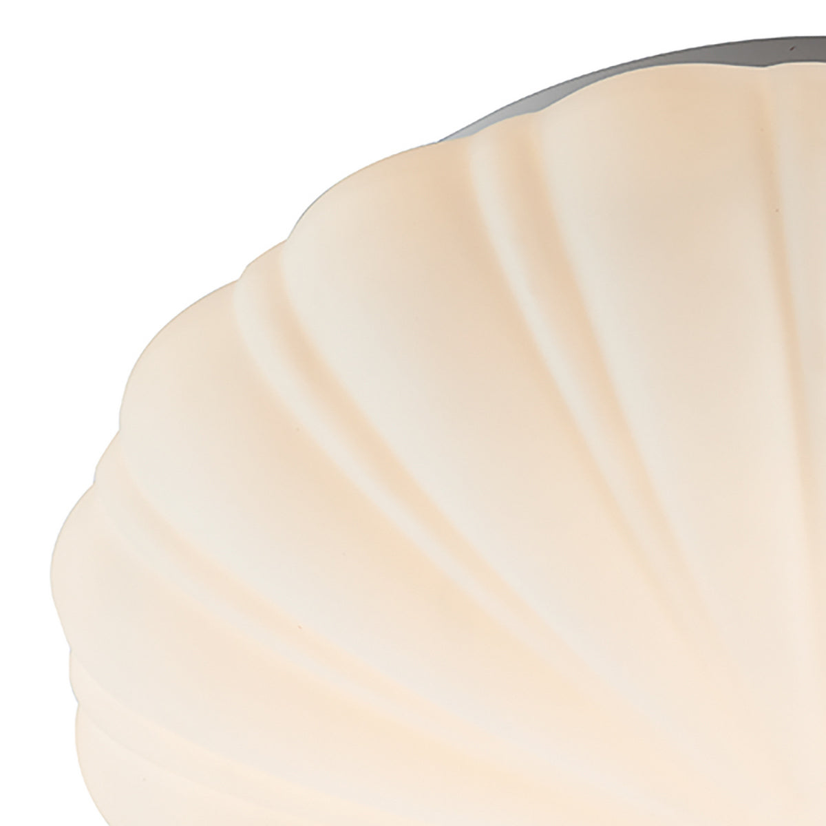 Close up of a white shell shaped light fixture