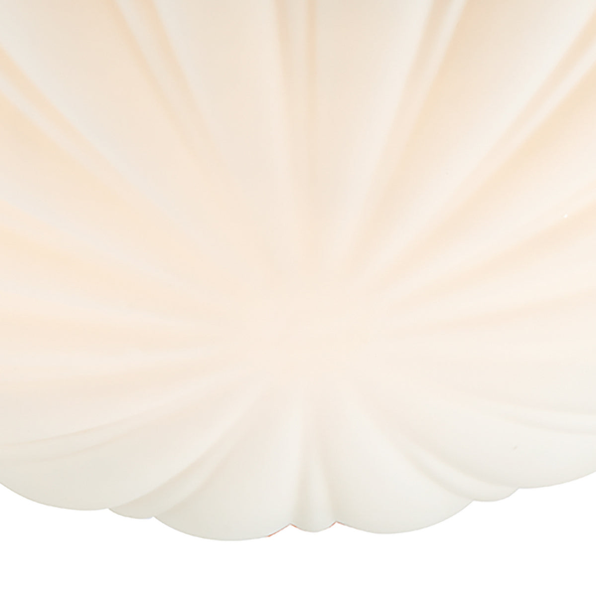 Close up of a cream colored shell shaped light fixture