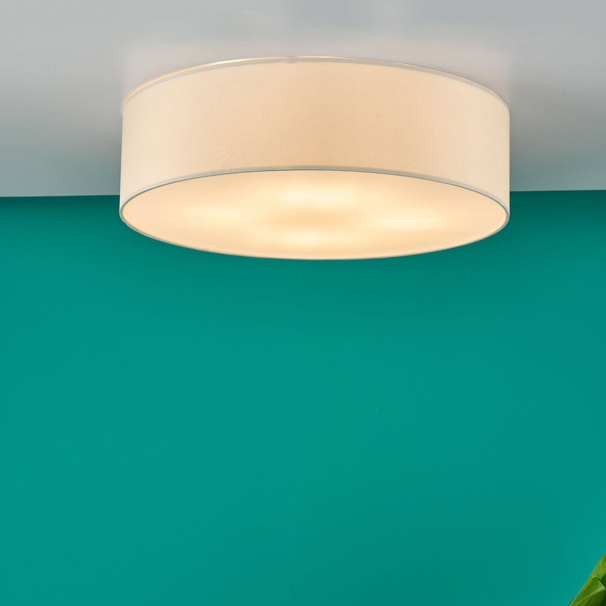 Round, cream-colored ceiling light with a white diffuser, illuminating a teal wall.