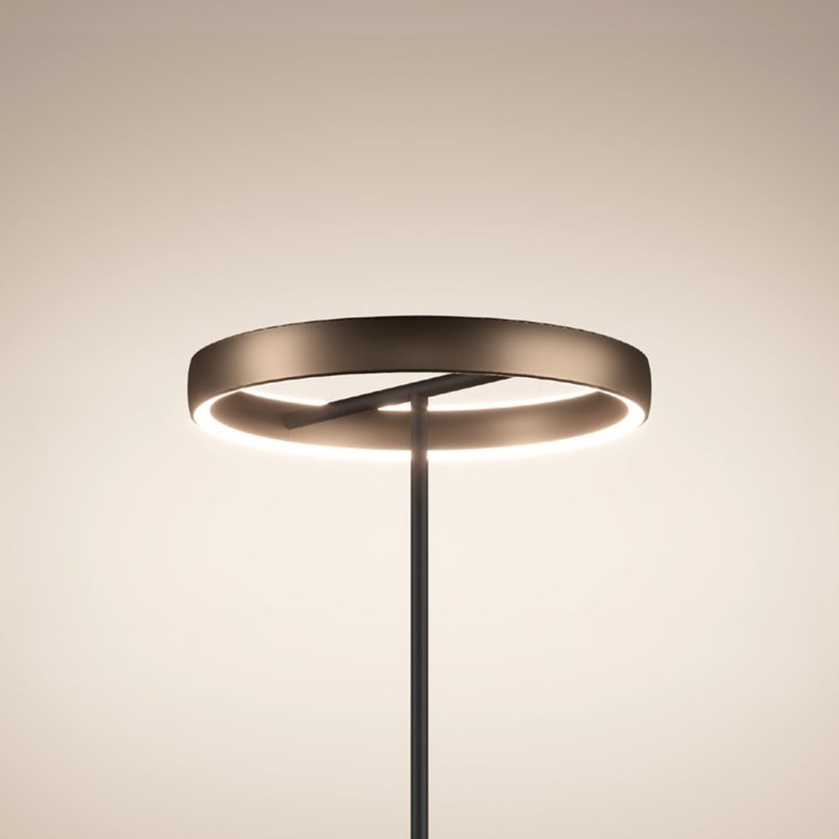 Modern floor lamp with a circular, bronze-colored shade emitting a soft, warm glow.