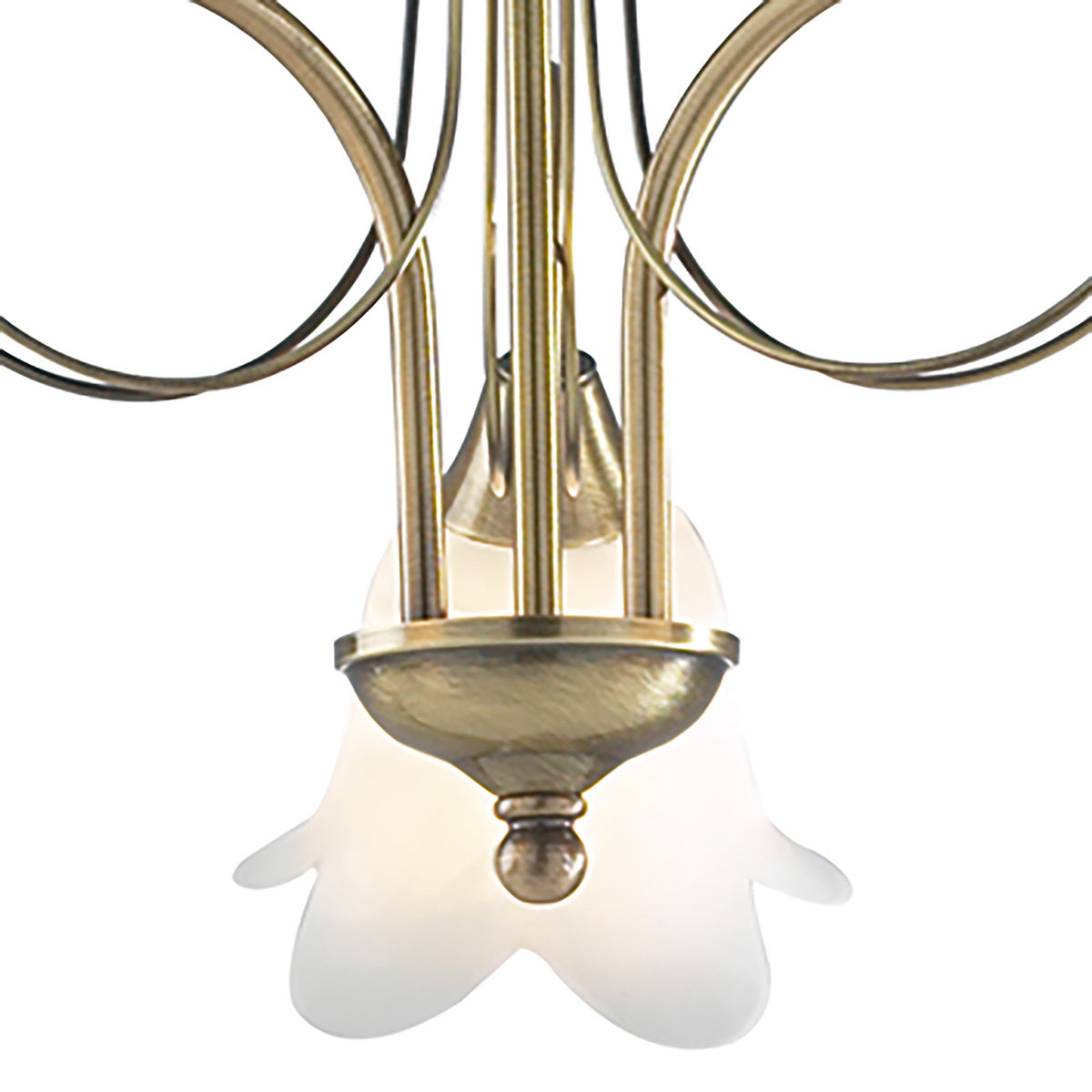 Close-up of a brass chandelier with a frosted glass, flower-shaped shade.