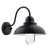 Dynamo IP44 Exterior Wall Light in Matt Black and Clear Glass Shade