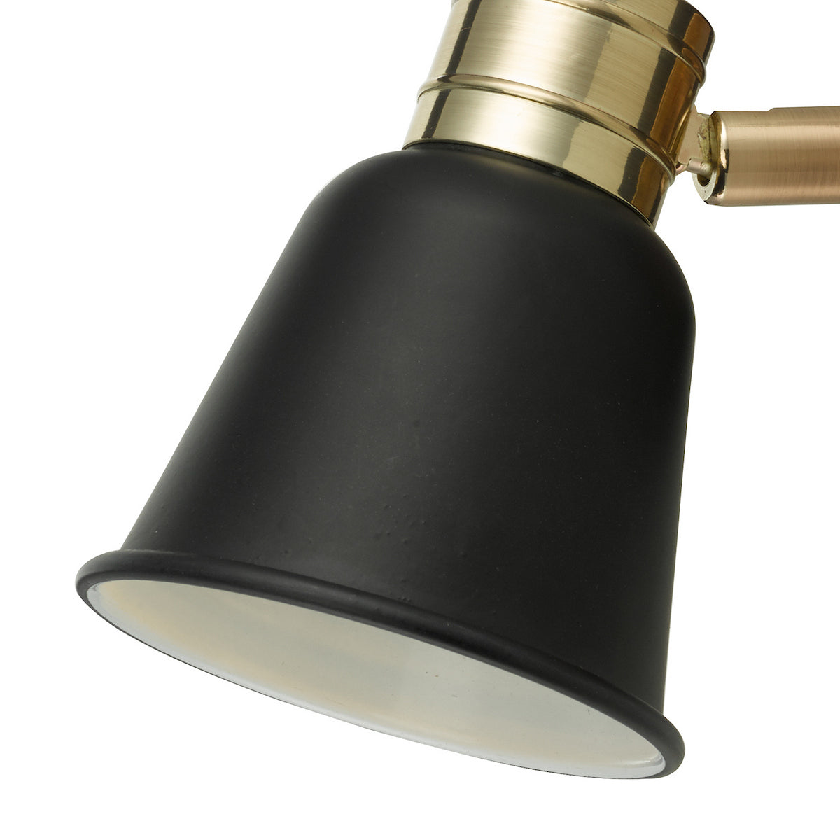 Close up of a black and brass wall light