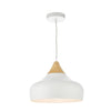 Gaucho Pendant Light in White