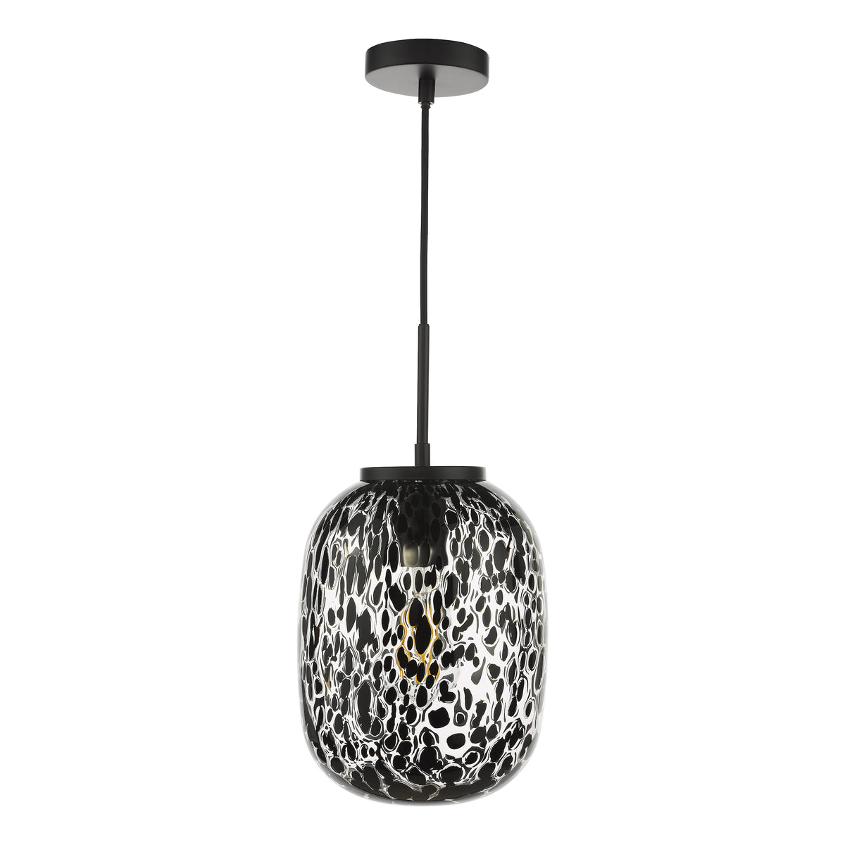 Black pendant light with a clear glass shade featuring black speckled patterns