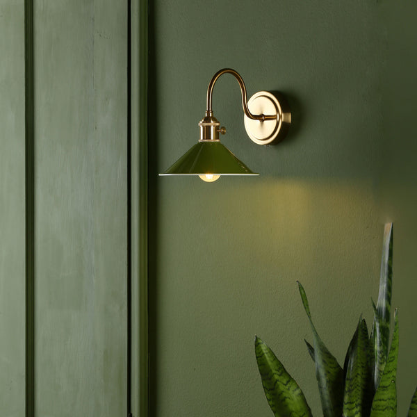 A green wall sconce with a brass arm and a green conical shade illuminates a snake plant below.