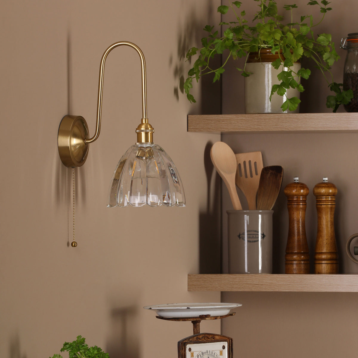A brass wall light with a fluted glass shade and pull chain, illuminating kitchen shelves with plants and utensils.