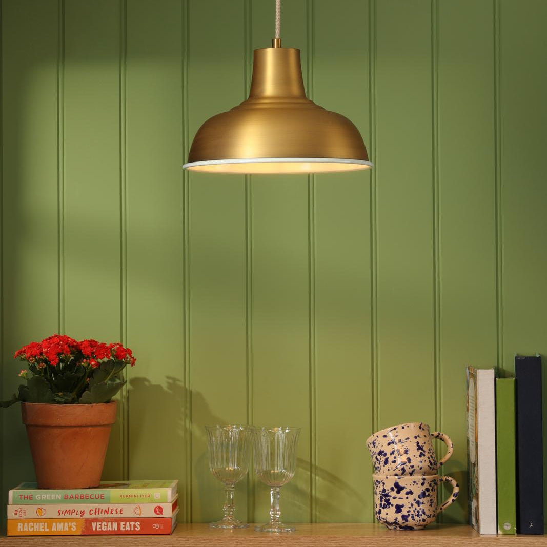 Brass dome pendant light hanging above a wooden shelf with books and a potted plant