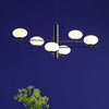 Jasper 6 Light Pendant In Matt Black With Opal Glass Shades