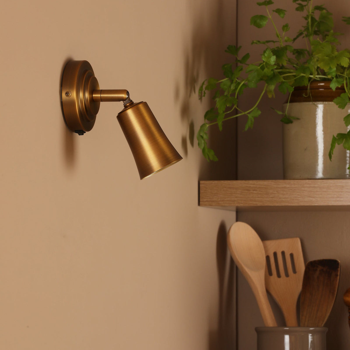 Jedrek Switched Single Adjustable Spotlight in Aged Brass