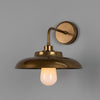 Darya IP65 Brass Wall Light in Antique Brass with Opal Glass Diffuser