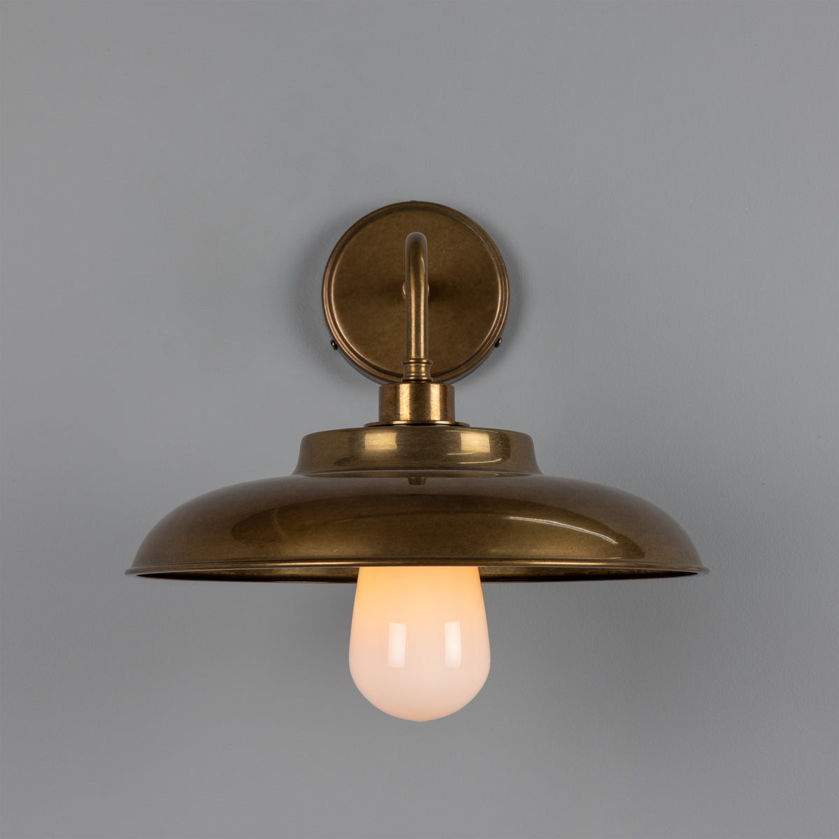 Darya IP65 Brass Wall Light in Antique Brass with Opal Glass Diffuser
