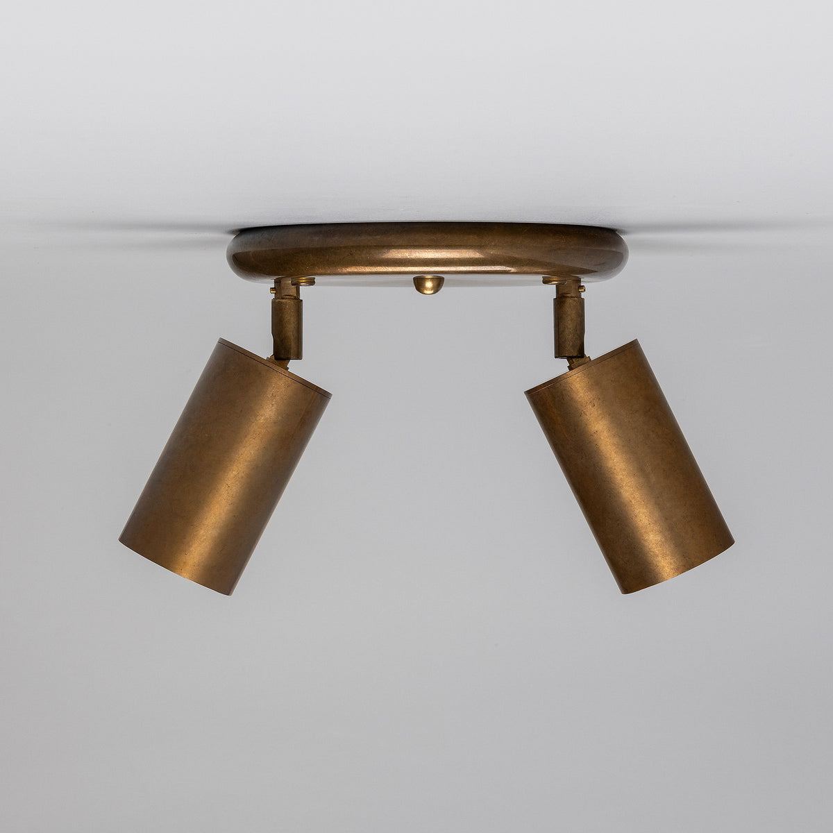 Evanston Two Light Directional Brass Ceiling Spotlight in Antique Brass