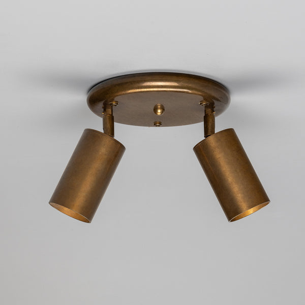 Evanston Two Light Directional Brass Ceiling Spotlight in Antique Brass