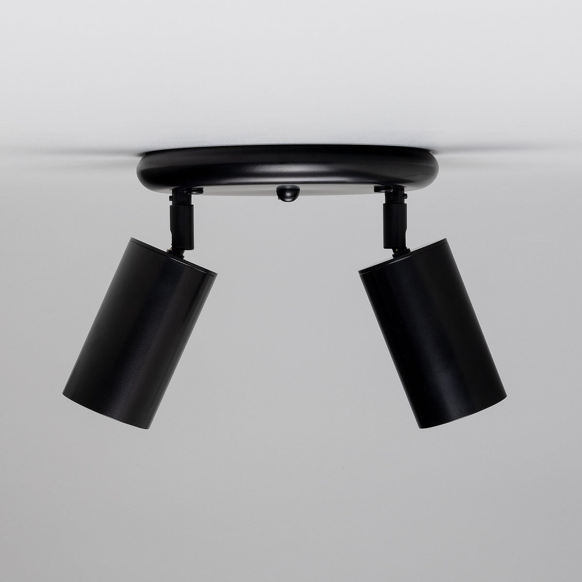 Evanston Two Light Directional Brass Ceiling Spotlight in Matte Black