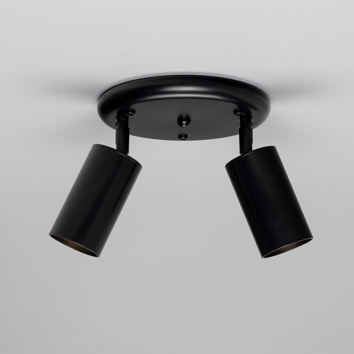 Evanston Two Light Directional Brass Ceiling Spotlight in Matte Black