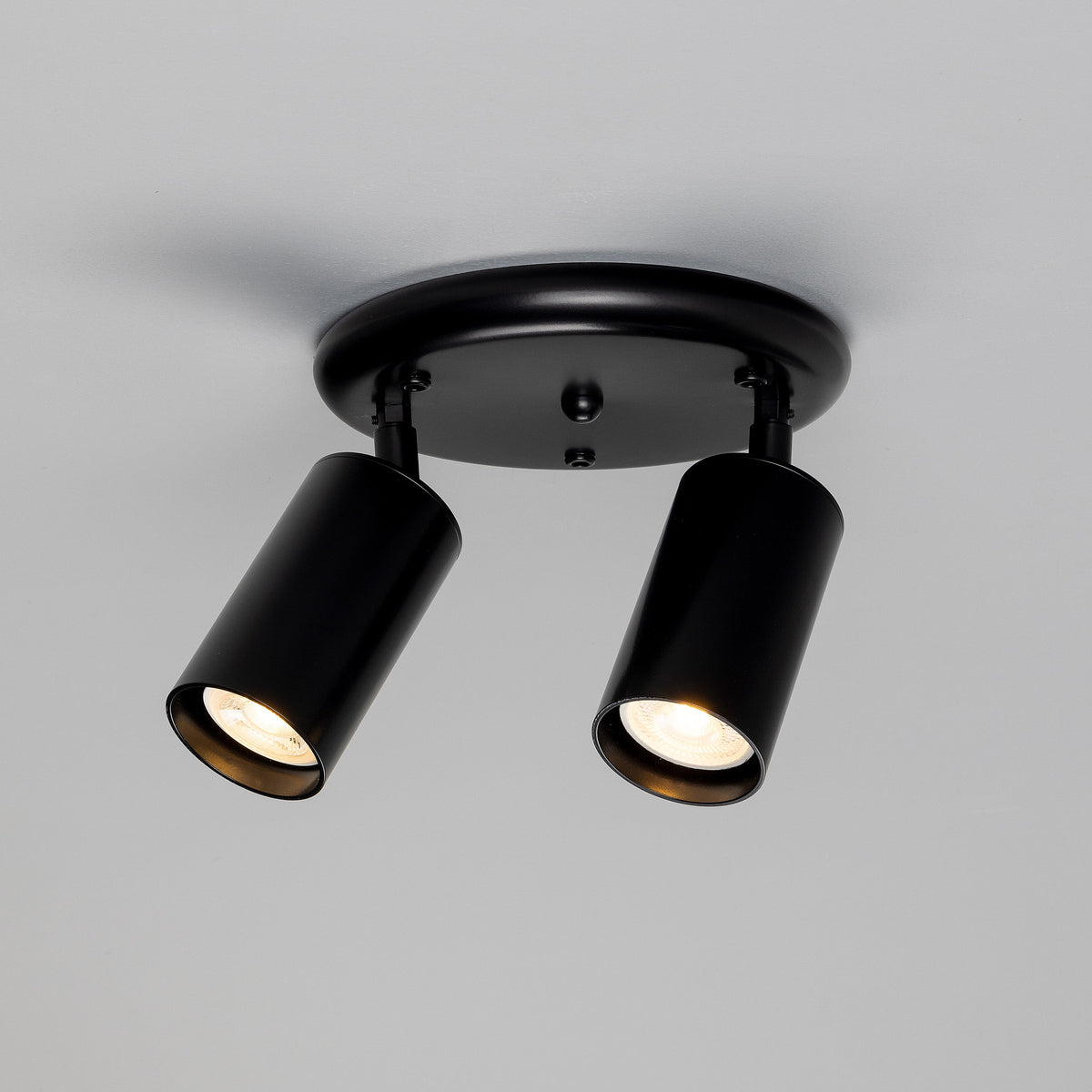 Evanston Two Light Directional Brass Ceiling Spotlight in Matte Black