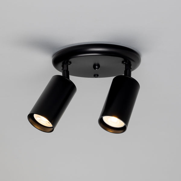 Evanston Two Light Directional Brass Ceiling Spotlight in Matte Black