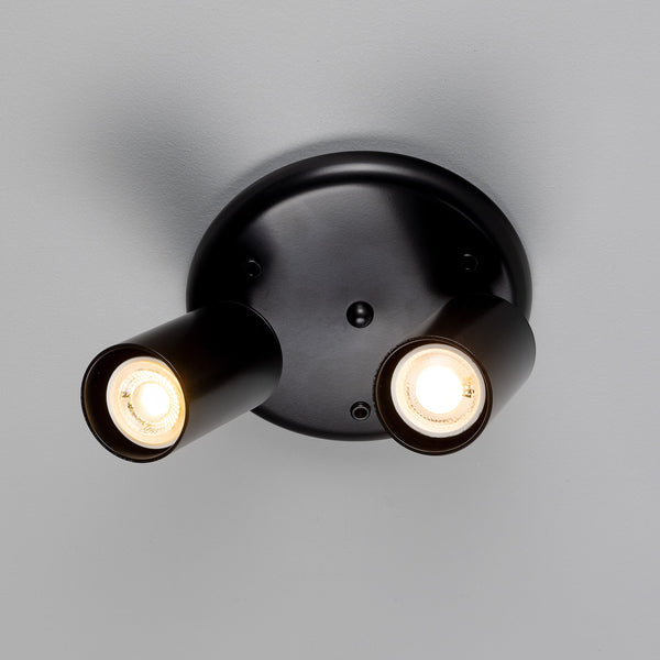 Evanston Two Light Directional Brass Ceiling Spotlight in Matte Black