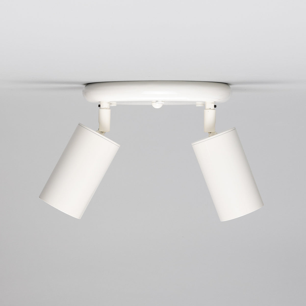Evanston Two Light Directional Brass Ceiling Spotlight in White