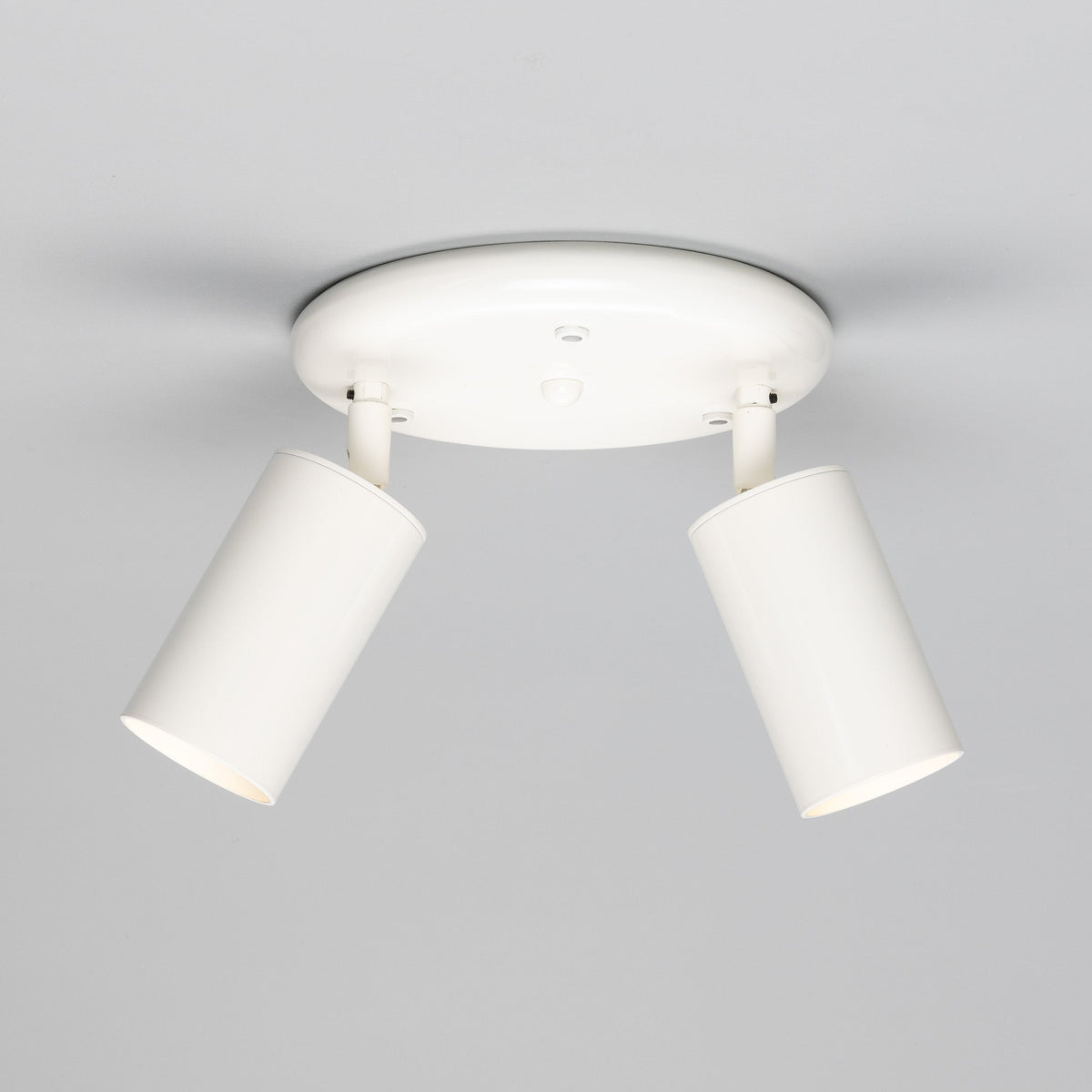 Evanston Two Light Directional Brass Ceiling Spotlight in White