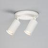 Evanston Two Light Directional Brass Ceiling Spotlight in White