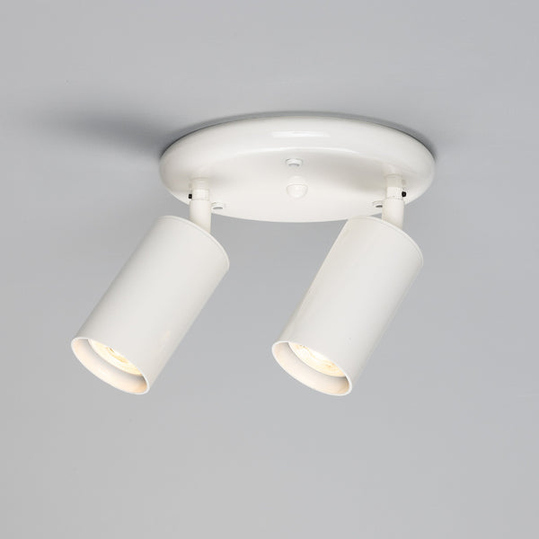 Evanston Two Light Directional Brass Ceiling Spotlight in White