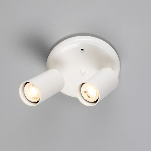 Evanston Two Light Directional Brass Ceiling Spotlight in White