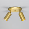 Evanston Two Light Directional Brass Ceiling Spotlight in Satin Brass