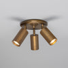Evanston Three Light Directional Brass Ceiling Spotlight in Antique Brass