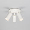 Evanston Three Light Directional Brass Ceiling Spotlight in White