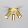 Evanston Three Light Directional Brass Ceiling Spotlight in Satin Brass