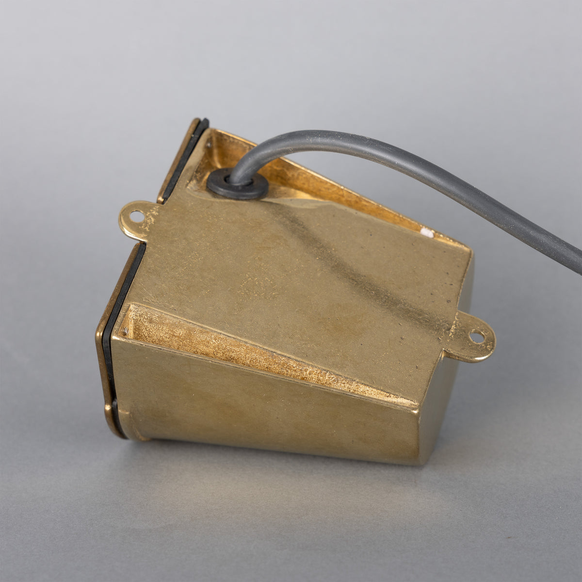 Wade IP54 Outdoor Brass Spotlight in Raw Brass
