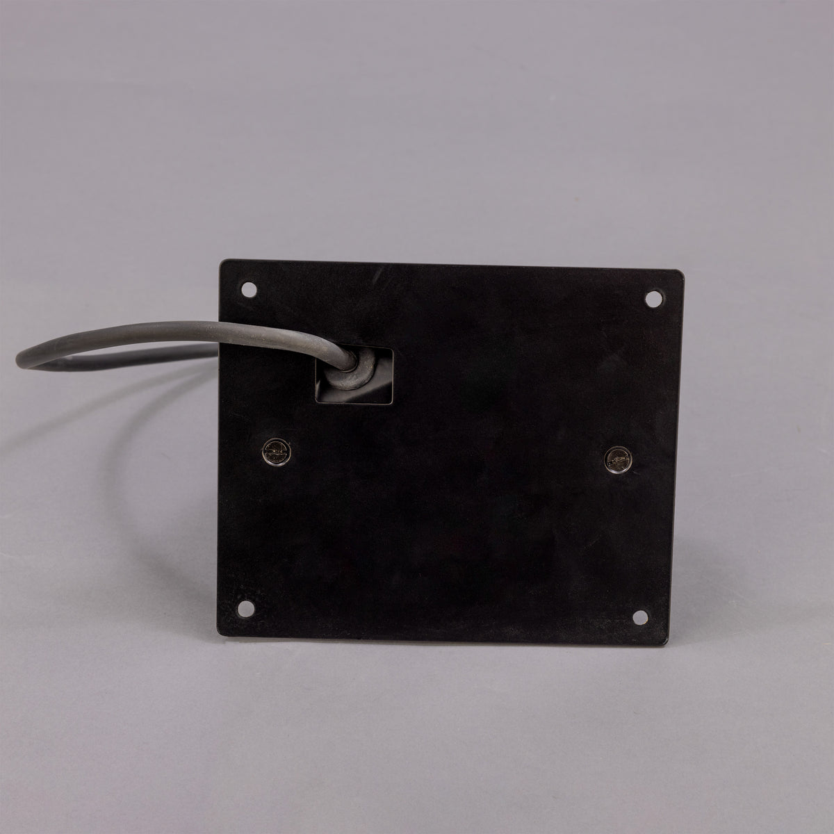 Wade IP54 Outdoor Brass Spotlight with Back Plate in Matte Black