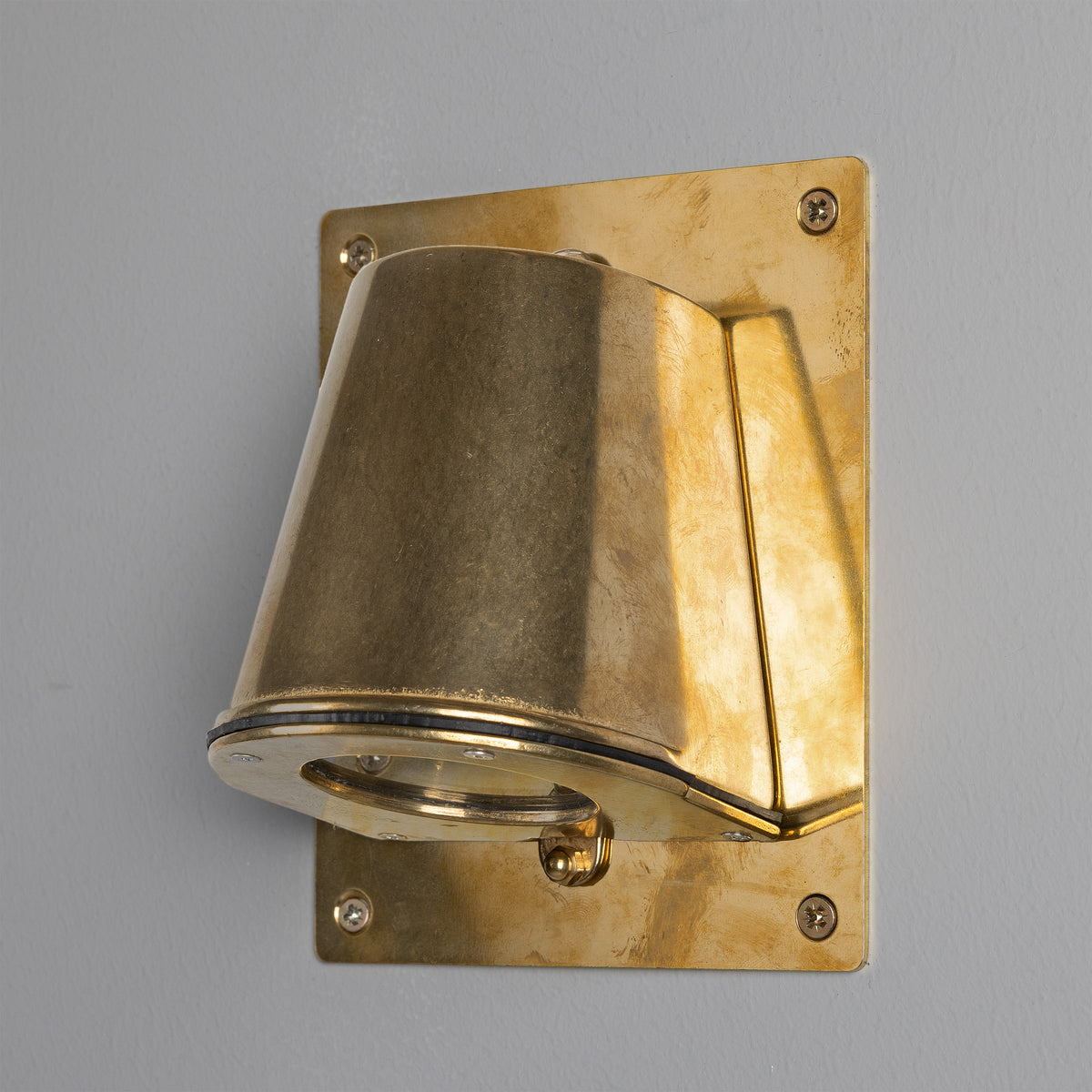 Wade IP54 Outdoor Brass Spotlight with Back Plate in Raw Brass