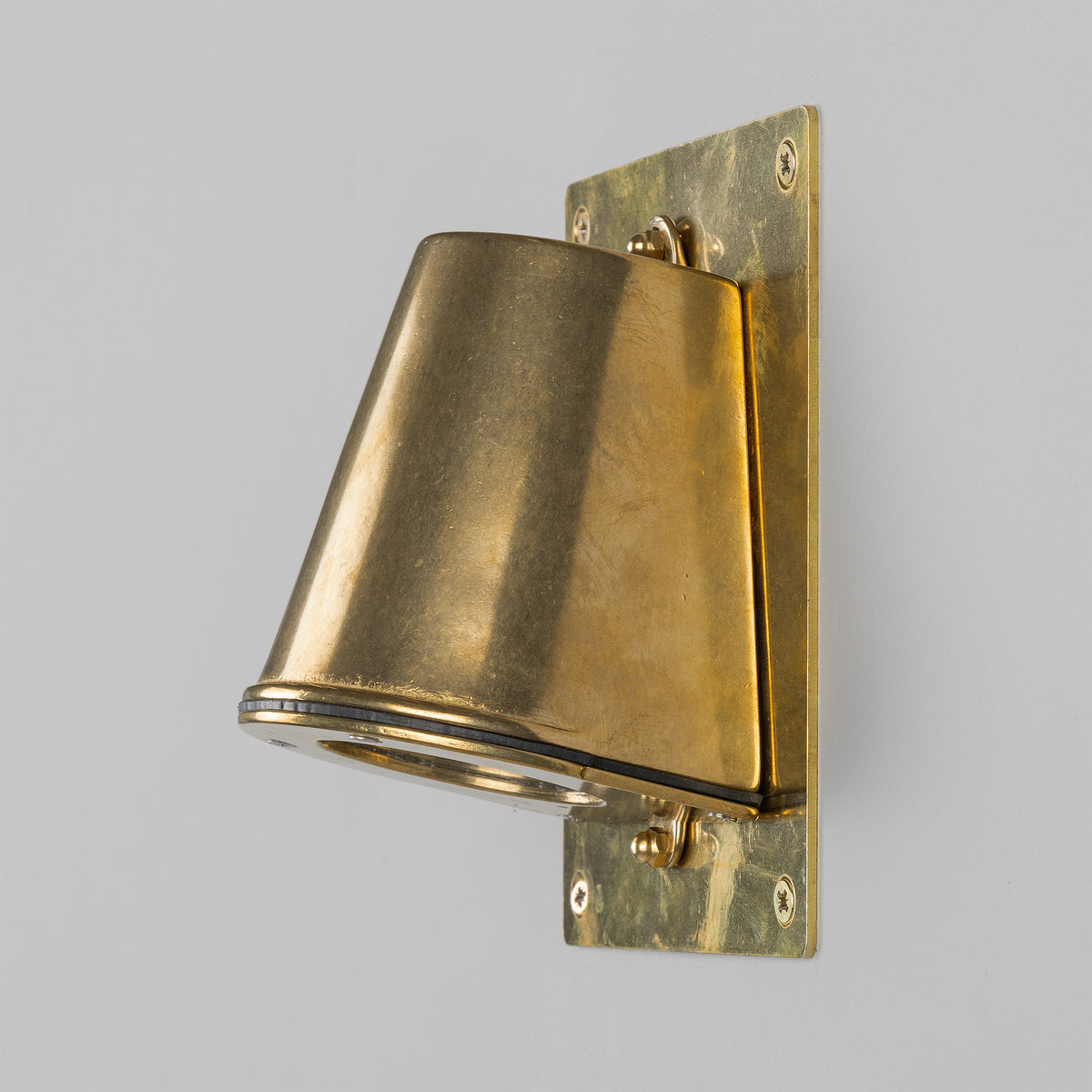 Wade IP54 Outdoor Brass Spotlight with Back Plate in Raw Brass