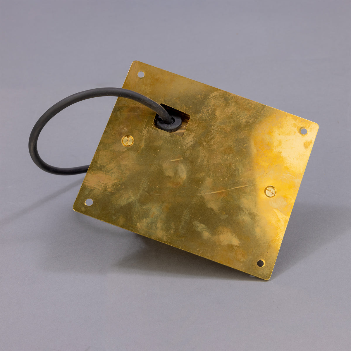 Wade IP54 Outdoor Brass Spotlight with Back Plate in Raw Brass