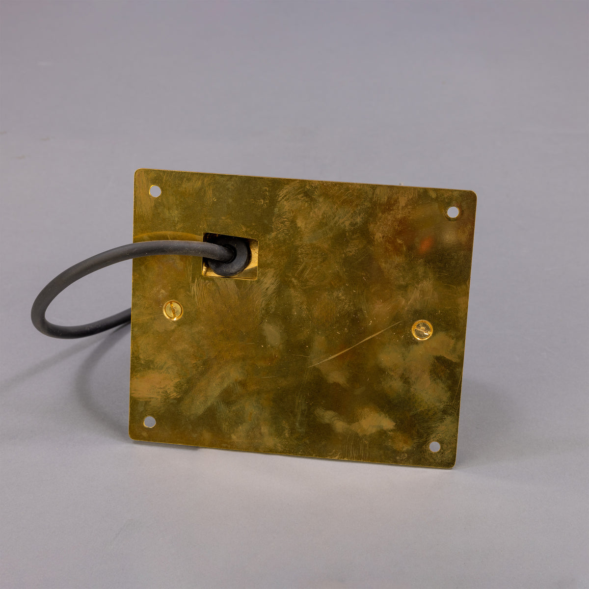 Wade IP54 Outdoor Brass Spotlight with Back Plate in Raw Brass