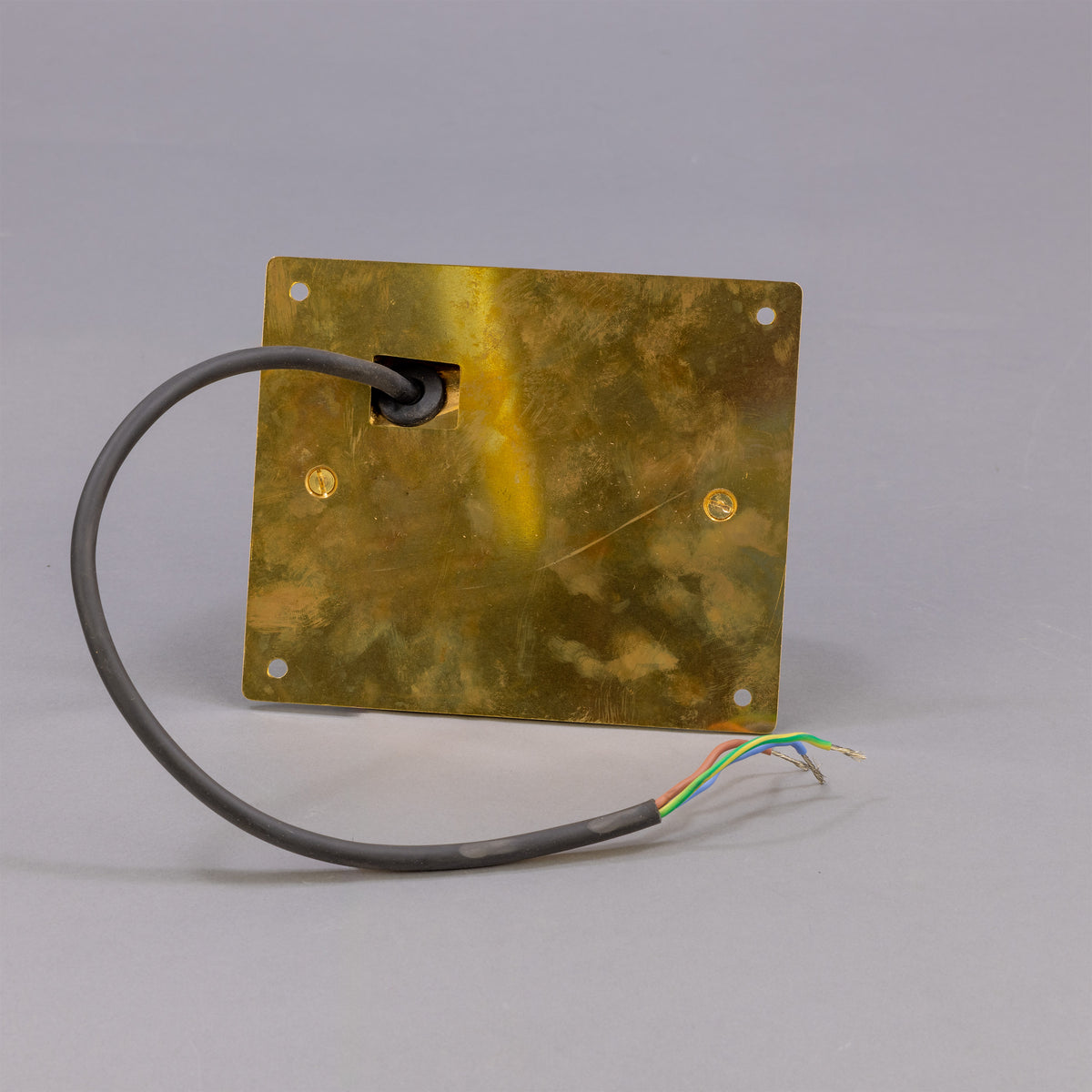 Wade IP54 Outdoor Brass Spotlight with Back Plate in Raw Brass
